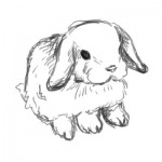 highlandlop