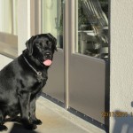 Cooper in outside the door mode