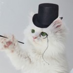 CatMonocleHat
