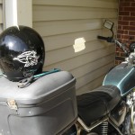 Cuttlefish Helmet!
