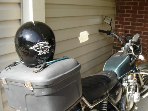 Cuttlefish Helmet!