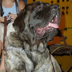 Camper with Camp Mascot