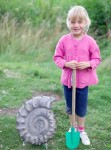ammonite