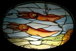 glasssquid