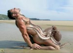 octoporn_male