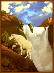 Grand Canyon Falls &copy; Carl Buell