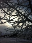 20121229-104652.jpg