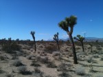 2013-02-09 12.26.08