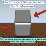 blog_gray_illusion