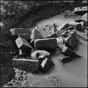 dismembered-head-in-rayerbajar-rashid-talukder-1111