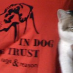 In Dog We Trust