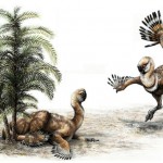 dino-feather-dancing