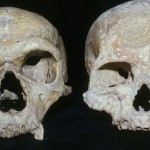 neanderthal