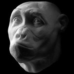 storymaker-early-human-ancestors-faces0-515x388