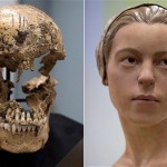 skull_2552023b