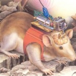 RoboRat