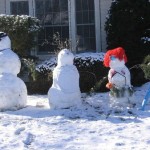 Snow Family