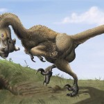 A turkey relative eating one of our own ancestors 80 million years ago. Makes you think!