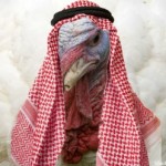 ShariaTomTurkey