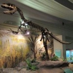 Megalosaurus