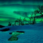Greenworld