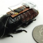 robo-roach