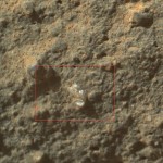 MartianFlower
