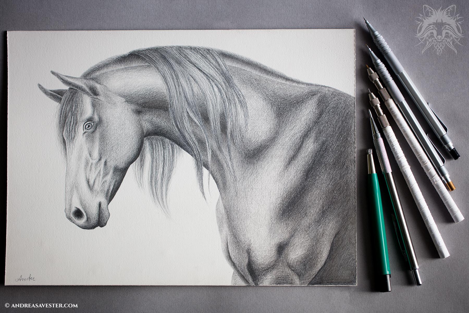 Metalpoint drawing of a horse head.