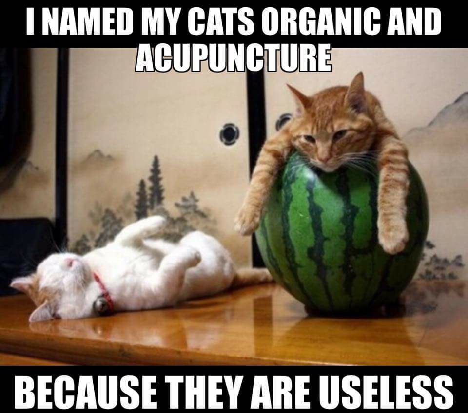 organic and acupuncture