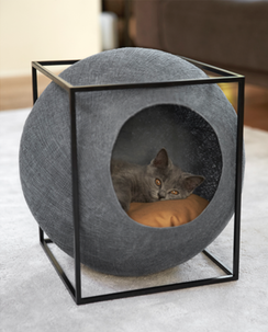Figure 2: Hidden sphere cat