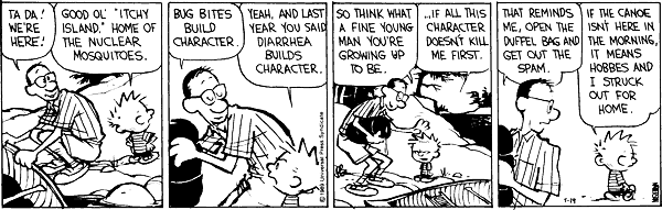 Transcript: Dad: Ta da! We're here! Calvin: Good ol' 'Itchy Island.' Home of the nuclear mosquitos. Dad: Bug bites build character. Calvin: Yeah. And last year you said diarrhea builds character. Dad: So think what a fine young man you're growing up to be. Calvin: ...if all this character doesn't kill me first. Dad: That reminds me, open the duffel bag and get out the spam. Calvin: If the canoe isn't here in the morning it means Hobbes and I struck out for home.