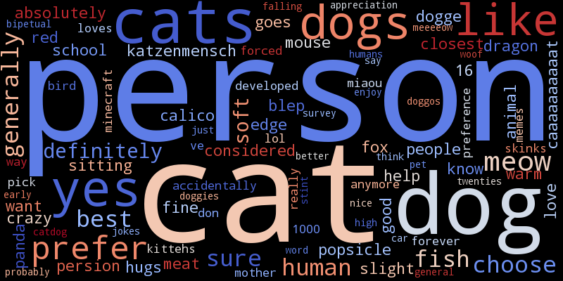 A word cloud. Most prominent words are "person", "cat" and "dog".