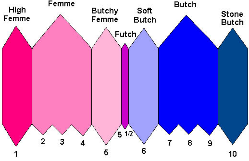 A scale depicting the spectrum from femme to butch, color coded by seven distinct identities.