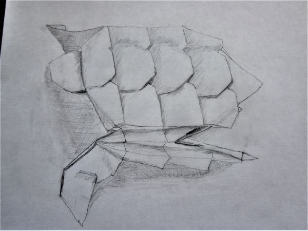 Sketch of an origami turtle