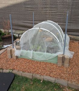 A raised bed covered with a frost cloth