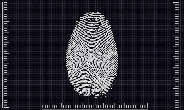A black-and-white fingerprint