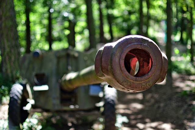 An artillery barrel pointed at the viewer