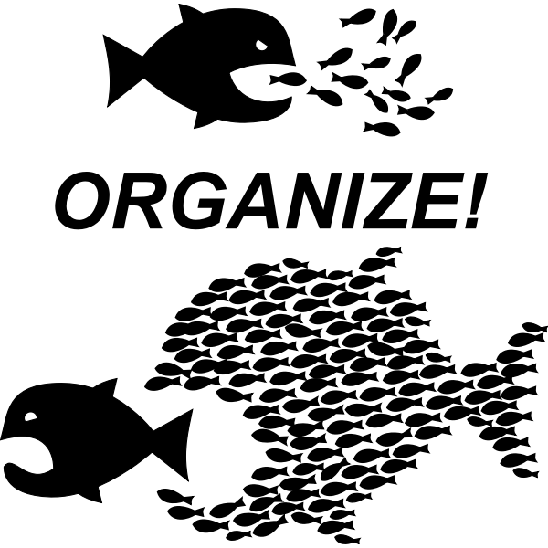 The "Organize" photo showing a flock of fish eating a larger fish