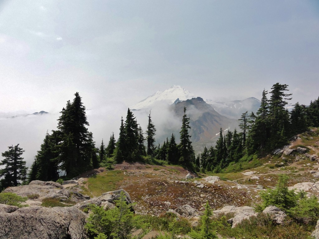 Image shows a rocky field, a line of pointy pines, and a few ethereal glimpses of Mount Baker through some wispy white clouds.