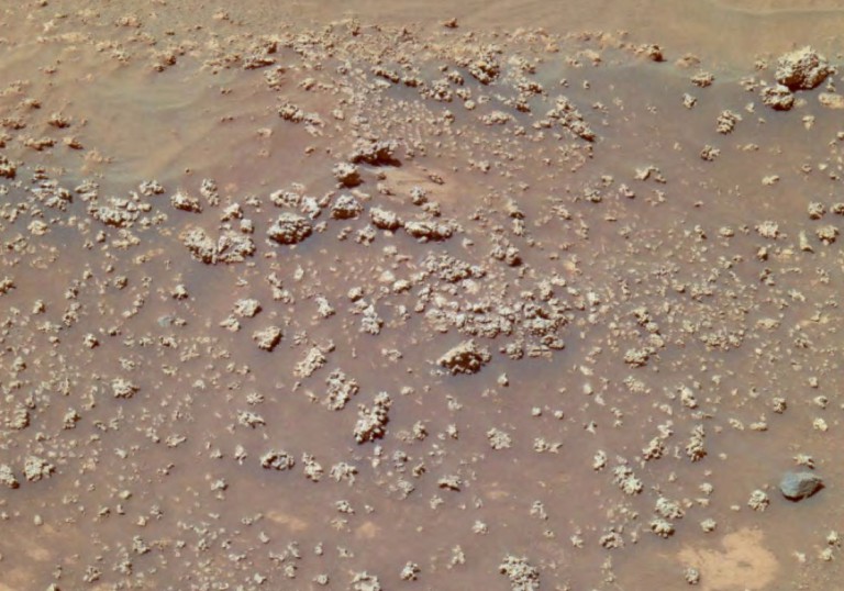 Image shows a lot of nobbly silica cropping out of the dusty red Mars dirt.