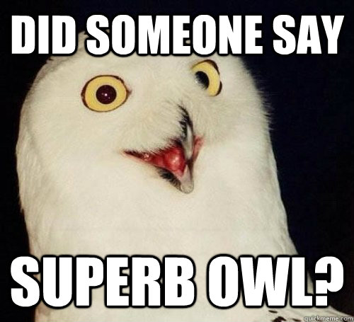 Superb Owl Sunday!