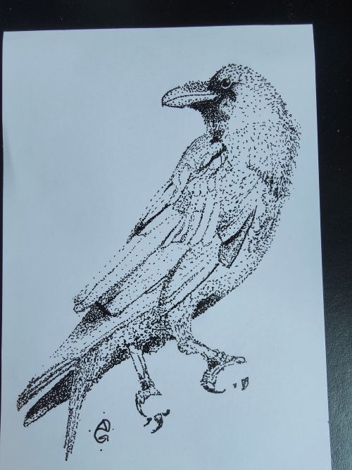 The image is a stippled (made of lots of little dots) of a raven perched on an invisible branch, facing to the right, and looking back over its shoulder to the left. There's a good amount of detail, and I think it looks pretty good. 