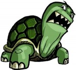 angry-turtle