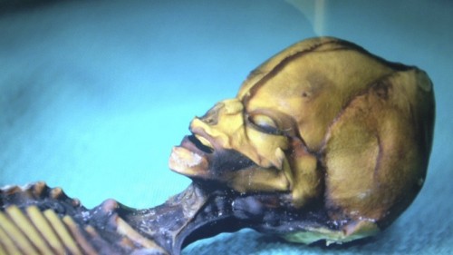 "Alien" mummy from Chile