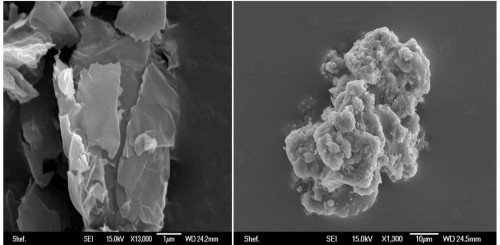 A, Sheet-like inorganic material recovered from the stratosphere which is clearly not biological; and B, a  clump of stratospheric cosmic dust which includes coccoid and rod shaped particles which may, or may not, be  bacteria.