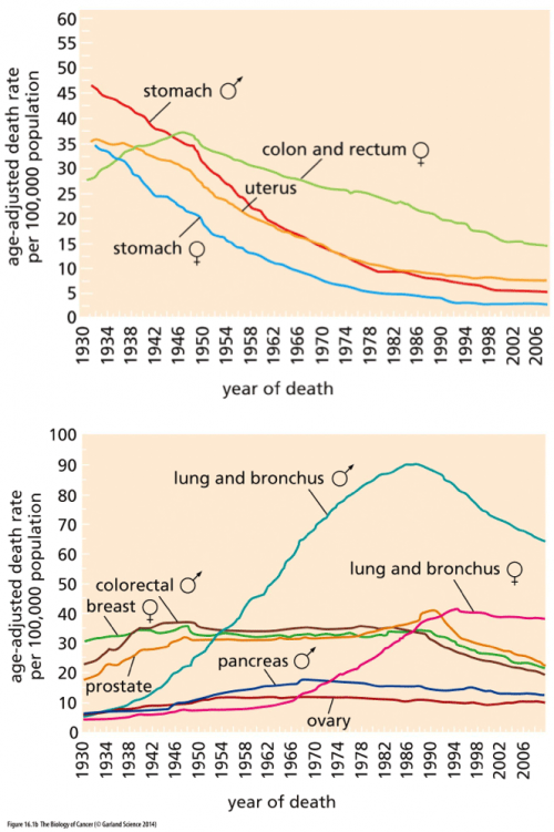 Charts of cancer death rates over time