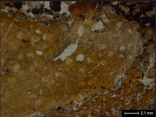 Microphotographs of a slightly burned coprolite of putative human origin identified in El Salt Stratigraphic Unit X (sample SALT-08-13). The images under plane polarized light show the pale brown color and massive structure of the coprolite, as well as the common presence of inclusions, which are possibly parasitic nematode eggs or spores.