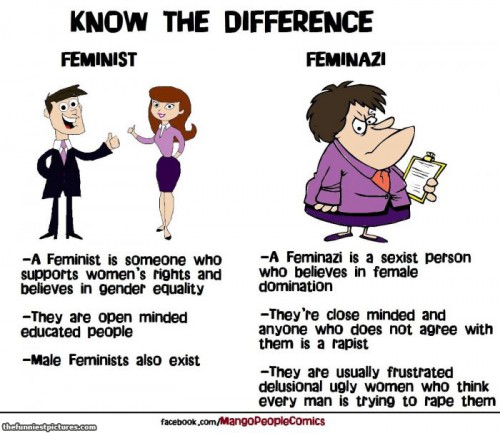 feminist-feminazi1