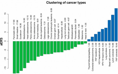 Stochastic (replicative) factors versus environmental and inherited factors: R-tumor versus D-tumor classification. The adjusted ERS (aERS) is indicated next to the name of each cancer type. R-tumors (green) have negative aERS and appear to be mainly due to stochastic effects associated with DNA replication of the tissues’ stem cells, whereas D-tumors (blue) have positive aERS. Importantly, although the aERS was calculated without any knowledge of the influence of environmental or inherited factors, tumors with high aERS proved to be precisely those known to be associated with these factors.