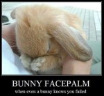 bunnyfacepalm